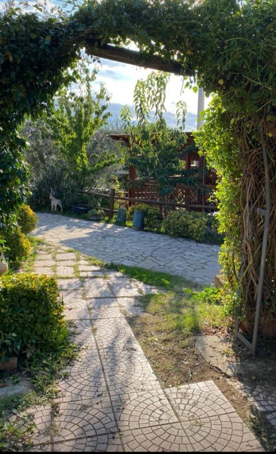 Fattoria Rovello Villa San Paolo di Civitate Exterior photo