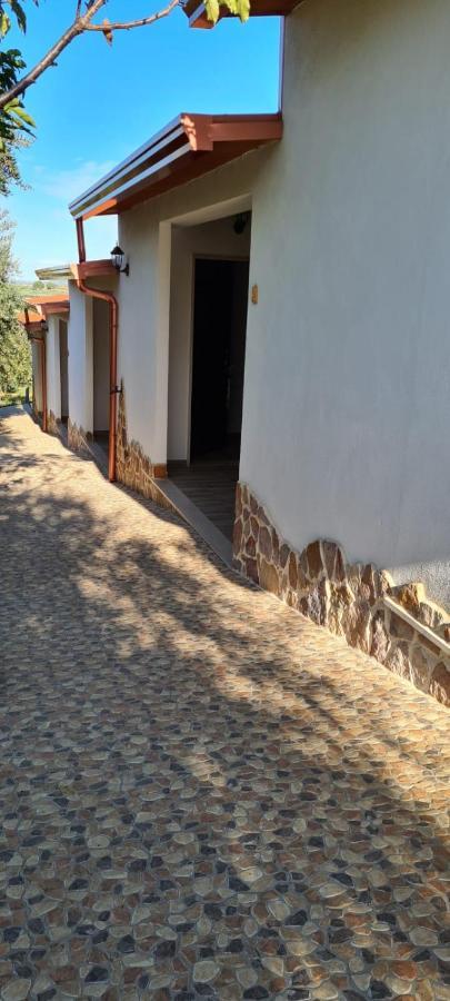 Fattoria Rovello Villa San Paolo di Civitate Exterior photo